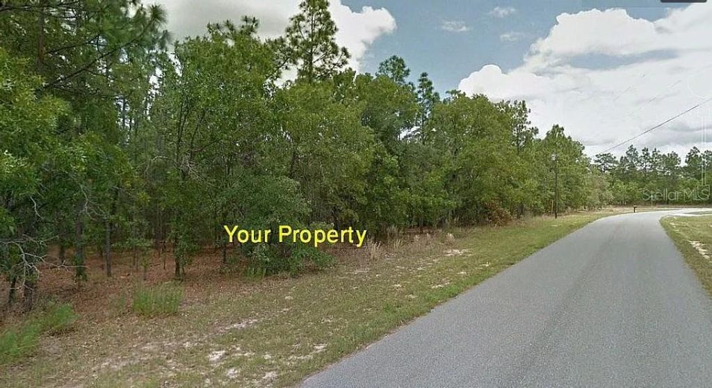 Photo of 1431 W Omaha Place, Citrus Springs, FL 34434 (MLS # TB8455852)