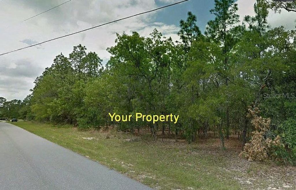 Photo of 1431 W Omaha Place, Citrus Springs, FL 34434 (MLS # TB8455852)