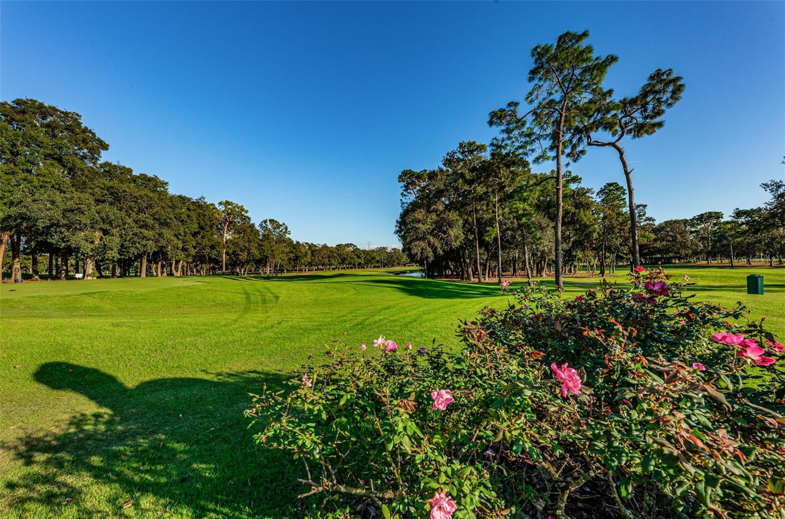 INNISBROOK - Residential
