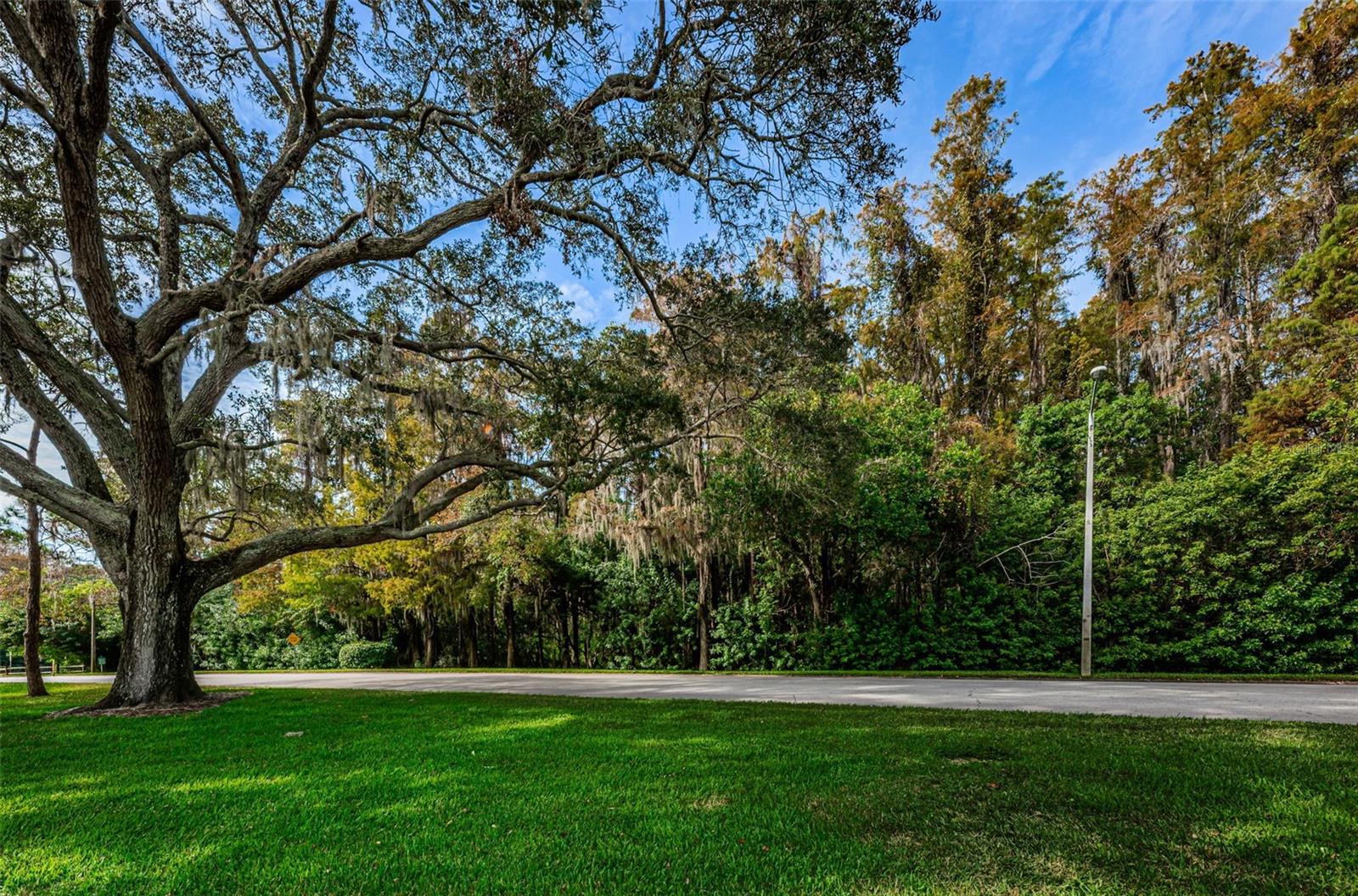 INNISBROOK - Residential