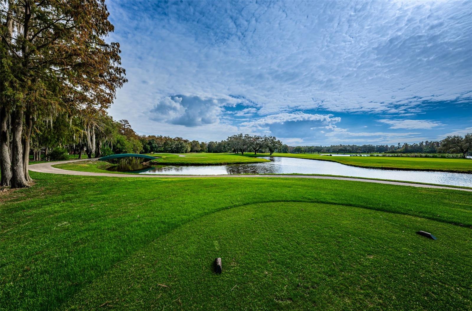 INNISBROOK - Residential