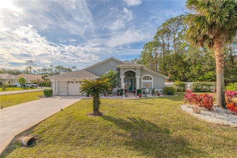 A home in PALM COAST