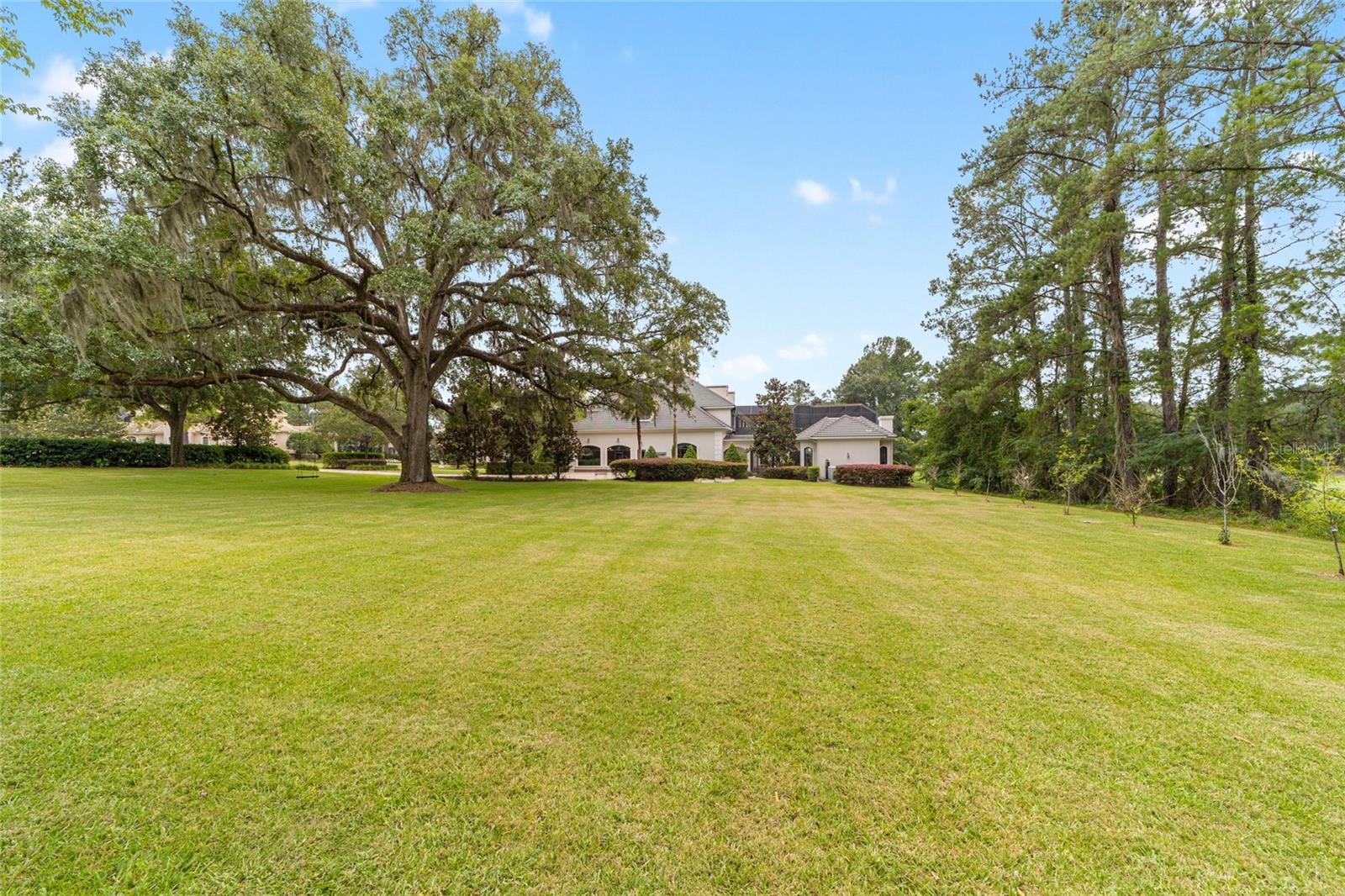 GOLDEN OCALA - Residential