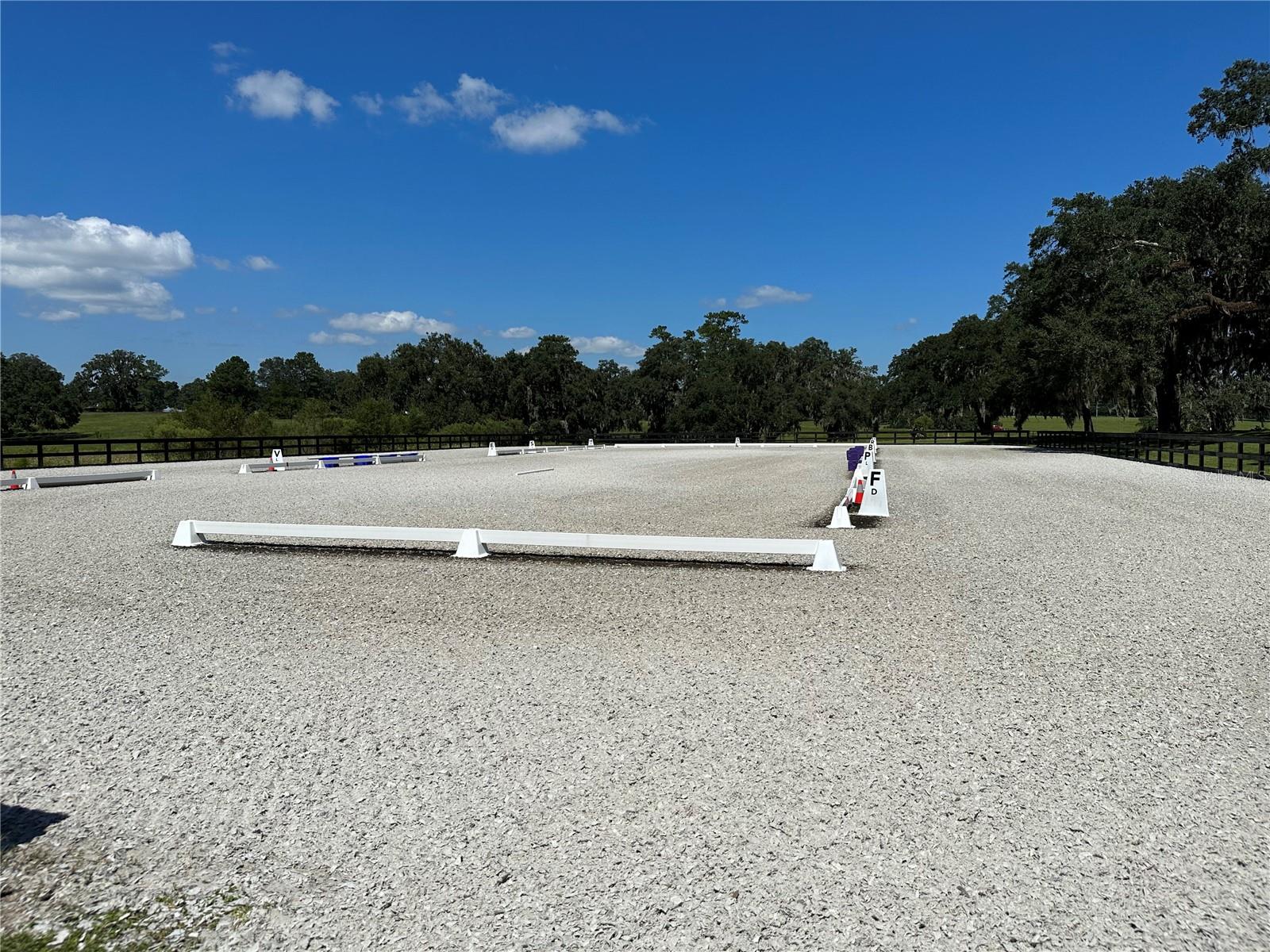 GOLDEN OCALA - Residential