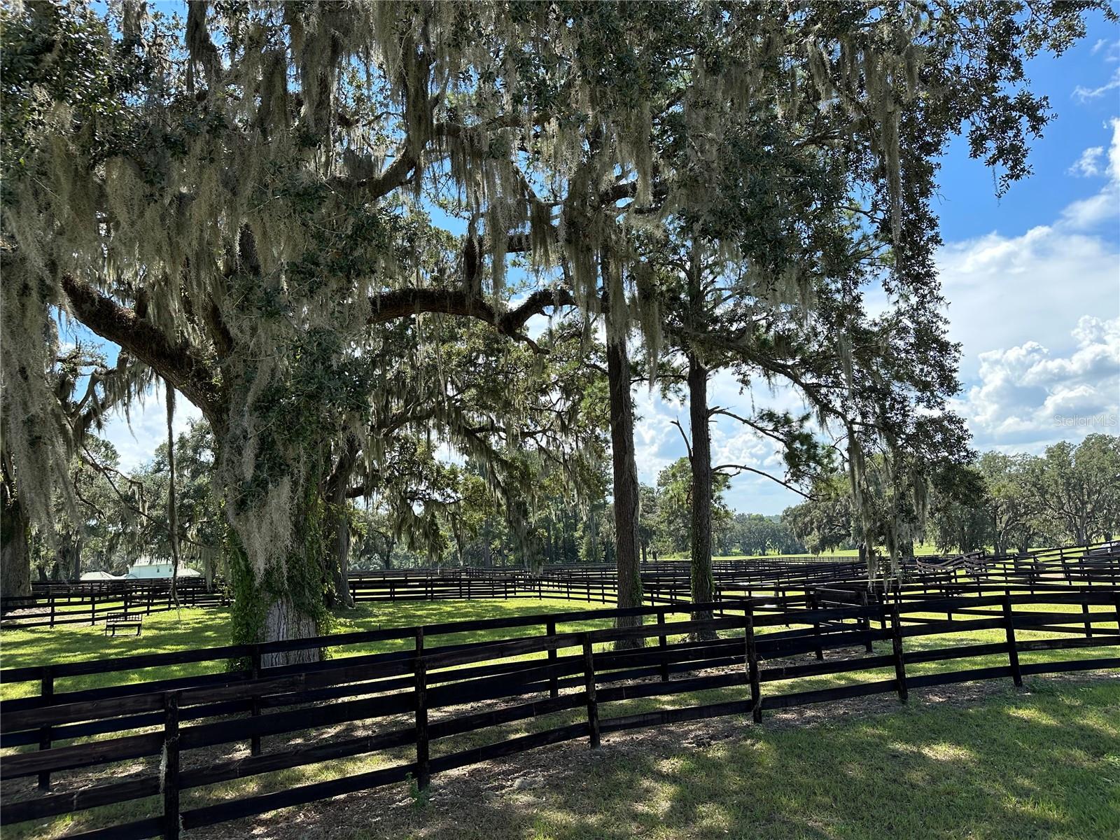 GOLDEN OCALA - Residential