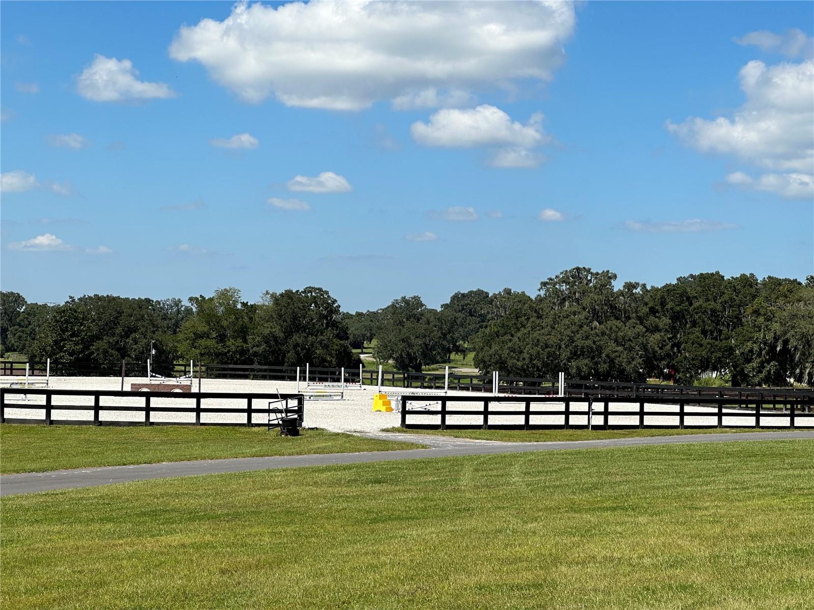 GOLDEN OCALA - Residential