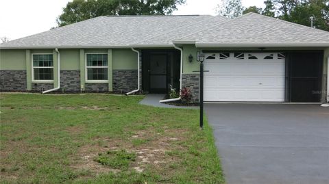 Photo of 11382 Pickford Street, Spring Hill, FL 34609 (MLS # OM725302)