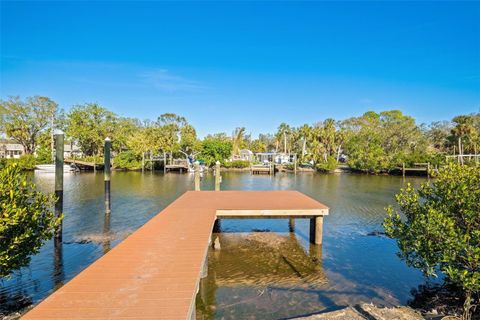 A home in TARPON SPRINGS