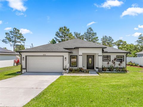 675 S CEDAR AVENUE ORANGE CITY FL 32763