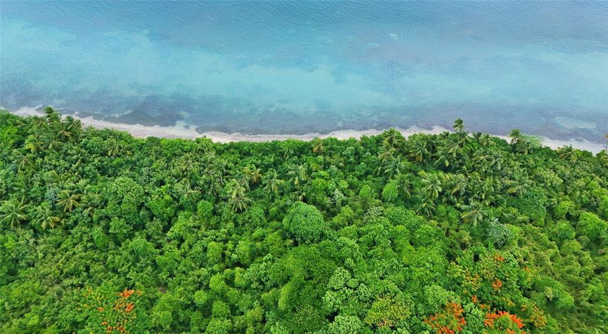 Descubra uno de los últimos grandes tesoros costeros de Vieques: una extensa parcela de 35.21 cuerdas que ofrece vistas panorámicas al mar, topografía llana y un potencial de desarrollo inigualable. Ubicada junto a la carretera estatal 994, a solo minutos del ferry y el aeropuerto combinan accesibilidad y serenidad. El terreno admite una variedad de usos visionarios: resort boutique, enclave residencial de lujo, refugio ecológico o centro de agroturismo. El terreno consta de zonas protegidas contra inundaciones (54% Zona X), acceso por carretera principal y servicios públicos que aceleran el trámite de permisos y construcción. Ya sea desarrollador, inversionista con mentalidad conservacionista o innovador en el sector hotelero, este sitio ofrece escala, belleza y un marco excepcional para la construcción de un legado en Vieques.