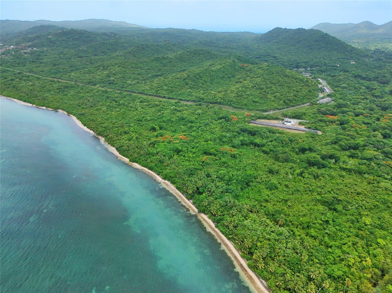 Punta Arenas PUERTO REAL