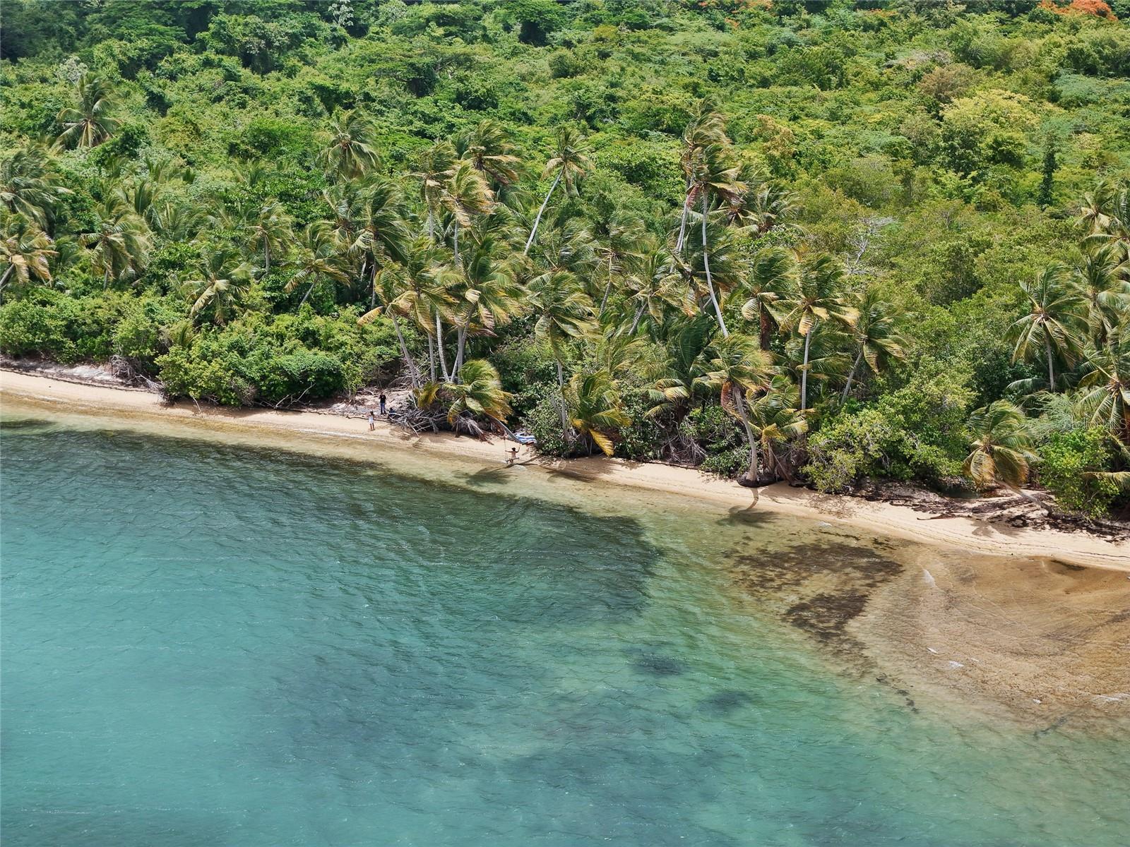 PUNTA ARENAS - VIEQUES - Land