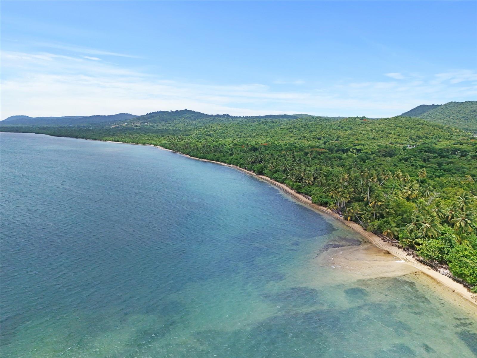 PUNTA ARENAS - VIEQUES - Land