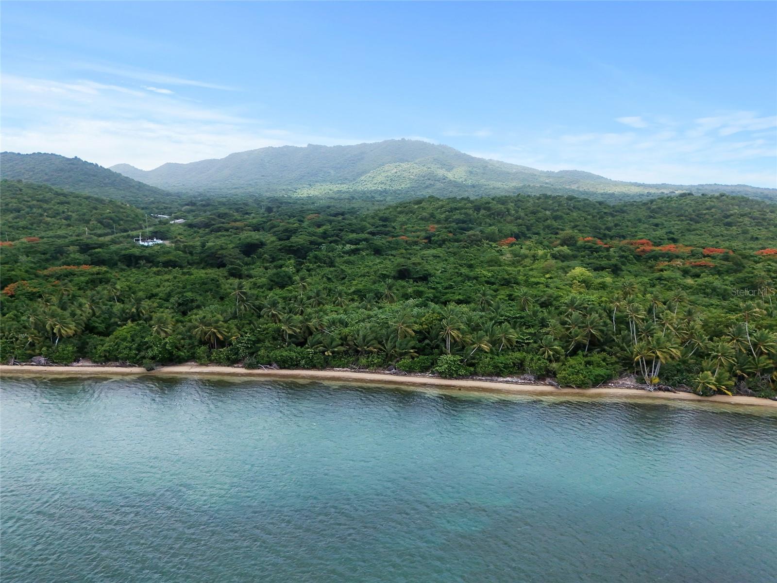 Punta Arenas PUERTO REAL