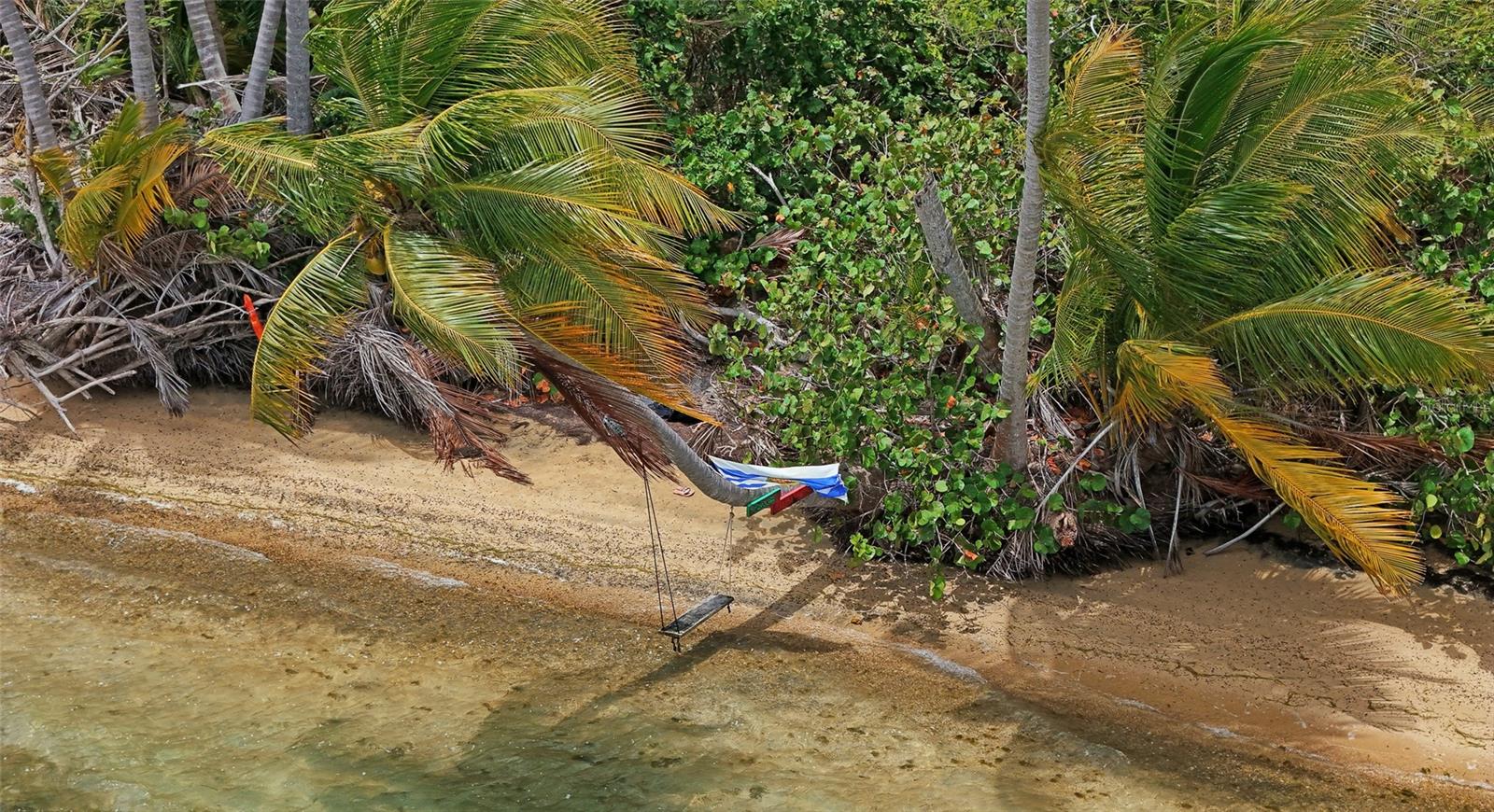 PUNTA ARENAS - VIEQUES - Land