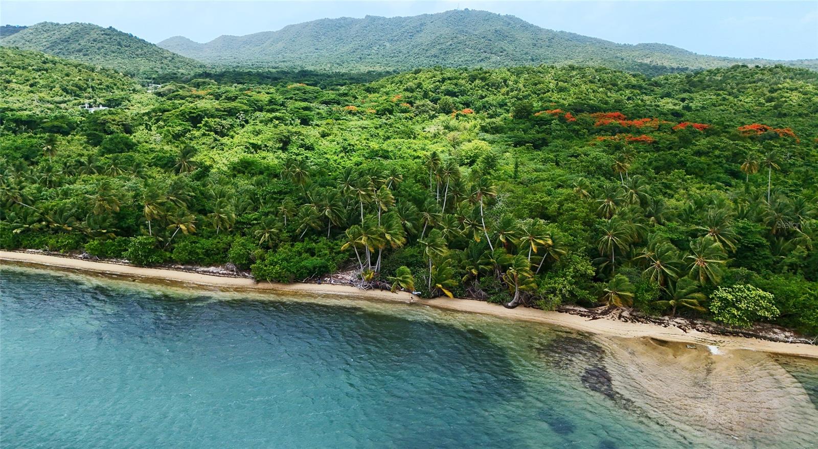 PUNTA ARENAS - VIEQUES - Land