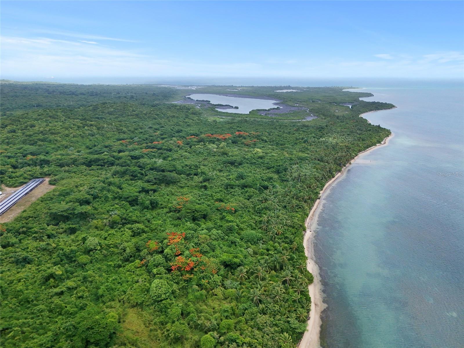 PUNTA ARENAS - VIEQUES - Land