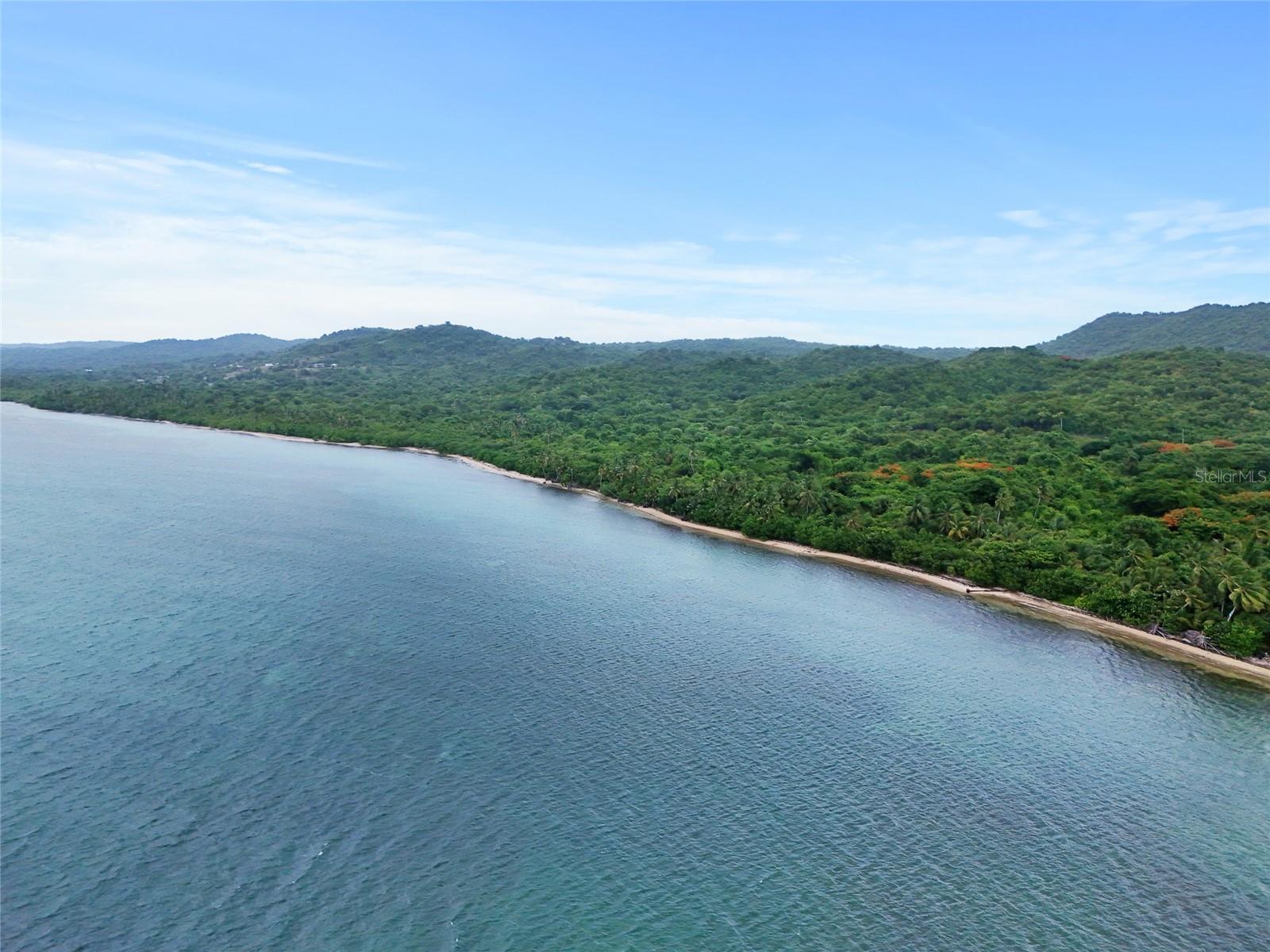 Punta Arenas PUERTO REAL