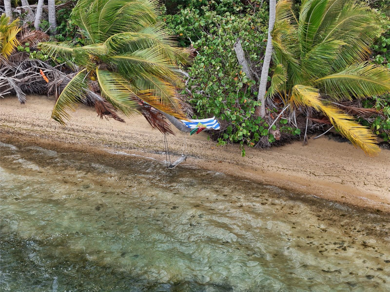 PUNTA ARENAS - VIEQUES - Land