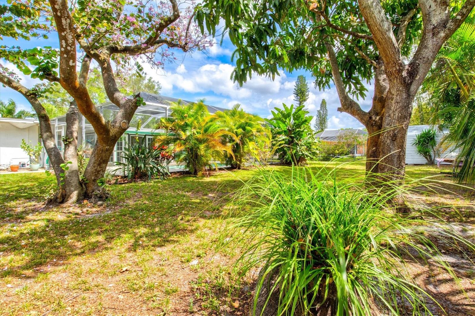 WHITFIELD ESTATES UNIT 1 - Residential