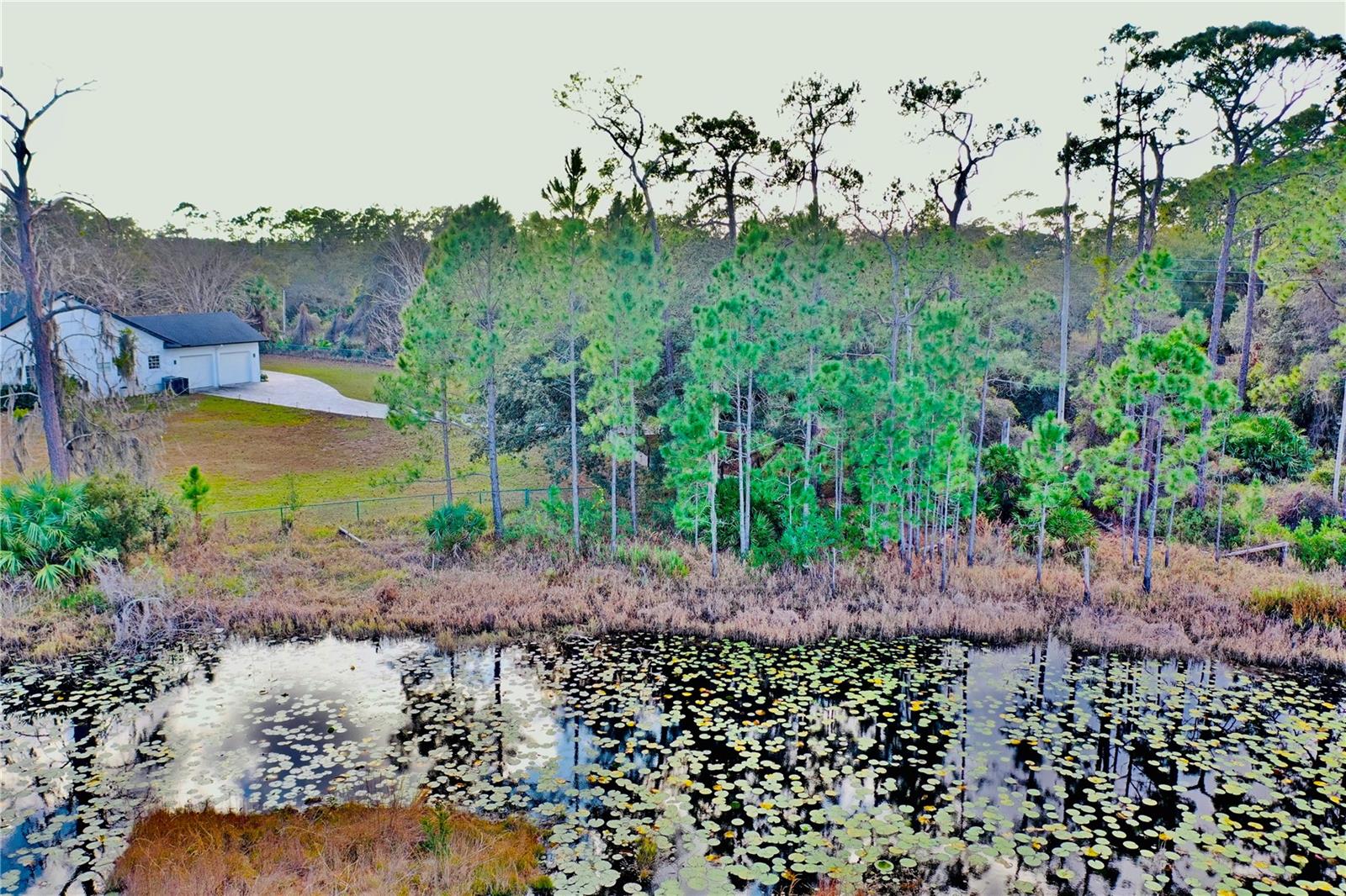 SEMINOLE WOODS 5 AC DEV - Residential