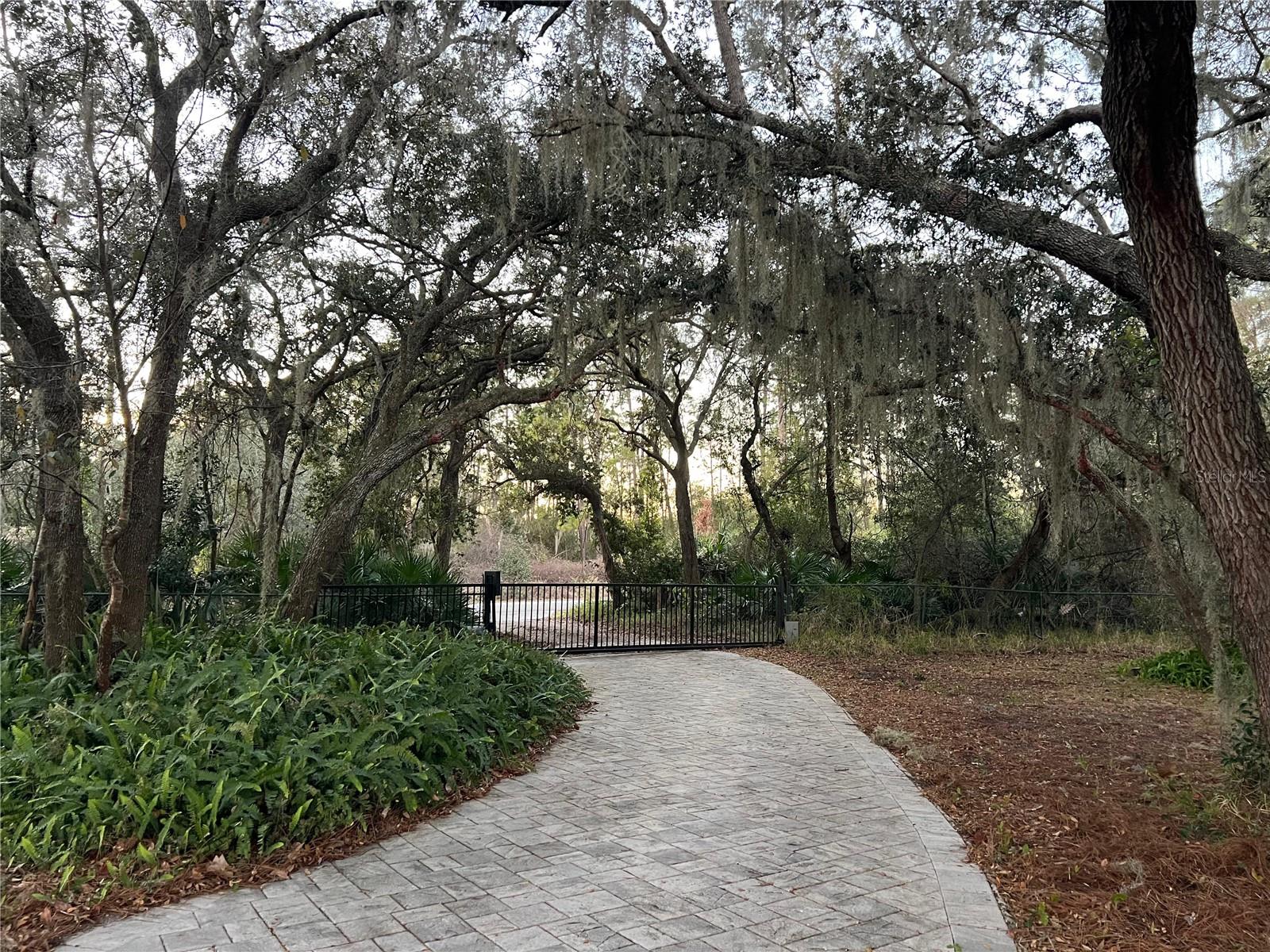 SEMINOLE WOODS 5 AC DEV - Residential