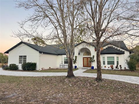 965 PINE HILL BOULEVARD GENEVA FL 32732