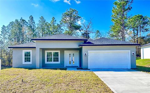 Photo of 7058 N Maltese Drive, Citrus Springs, FL 34433 (MLS # O6289664)