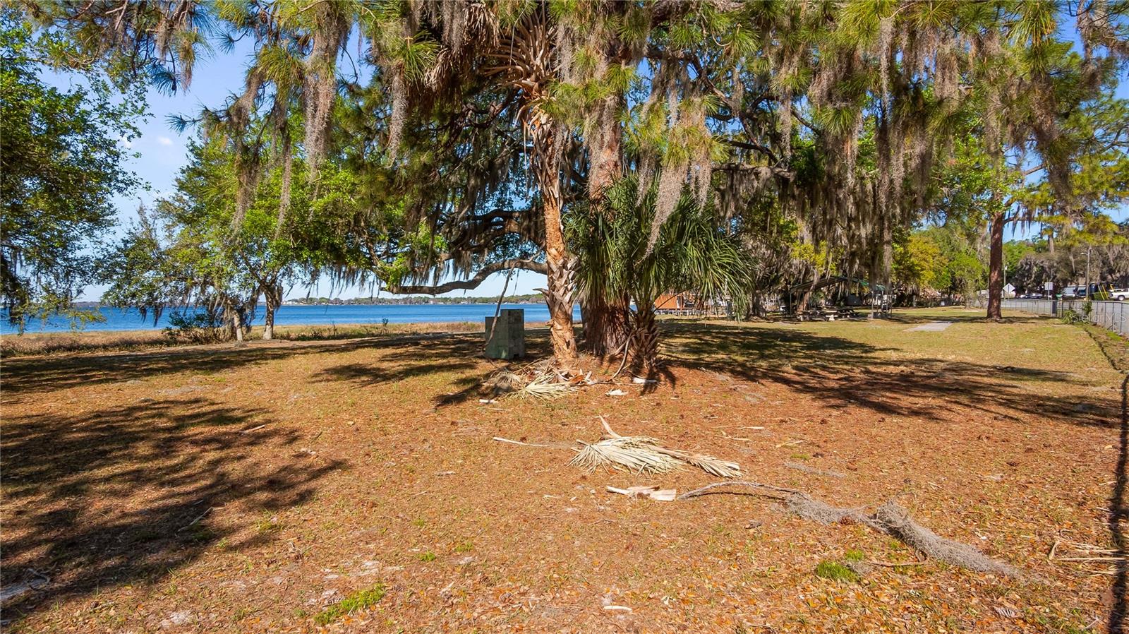 CLERMONT LAKE MINN CHAIN O LAKES - Residential