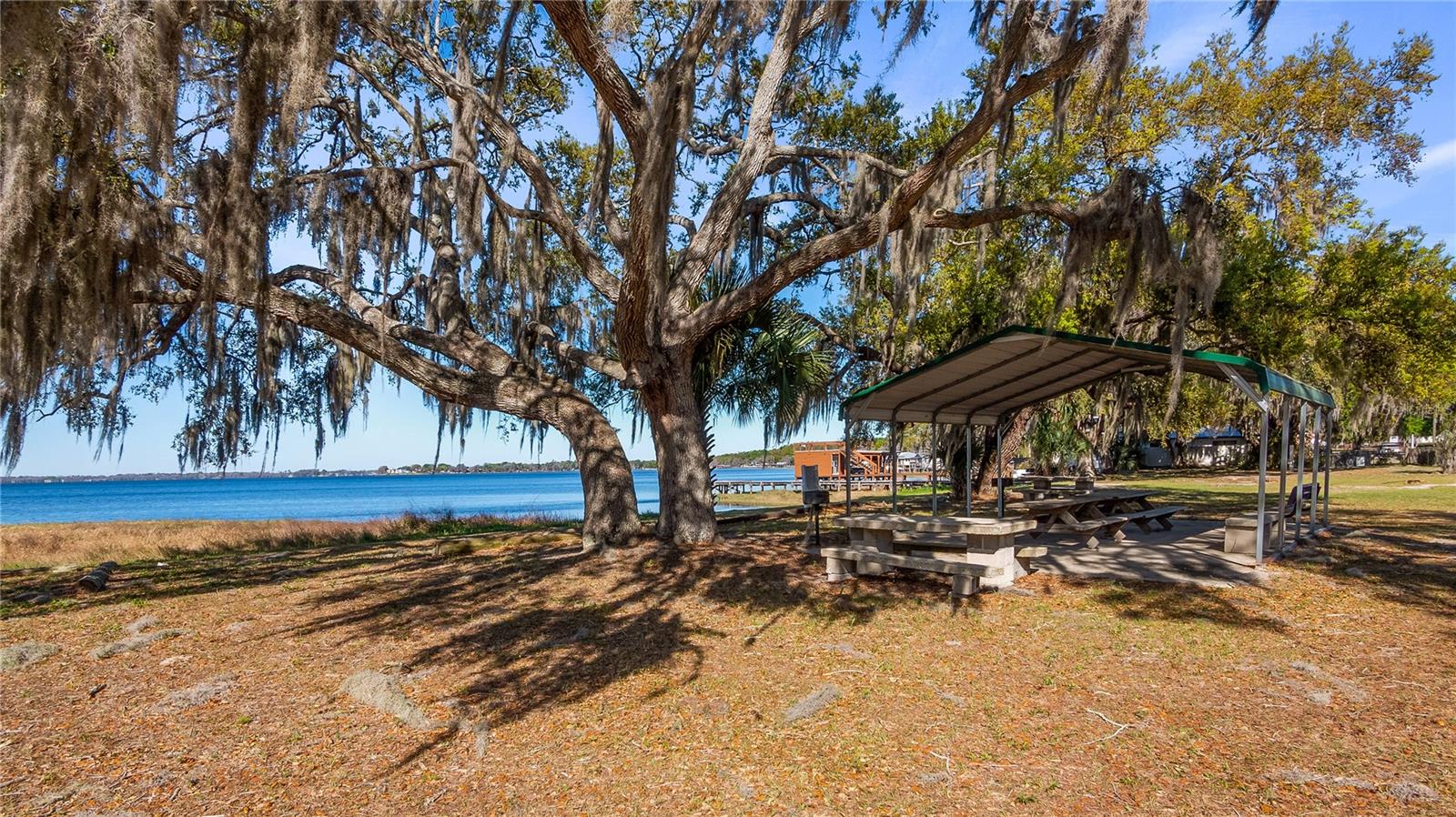 CLERMONT LAKE MINN CHAIN O LAKES - Residential