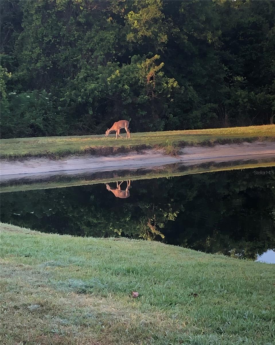 WINSLOW PARK - Residential