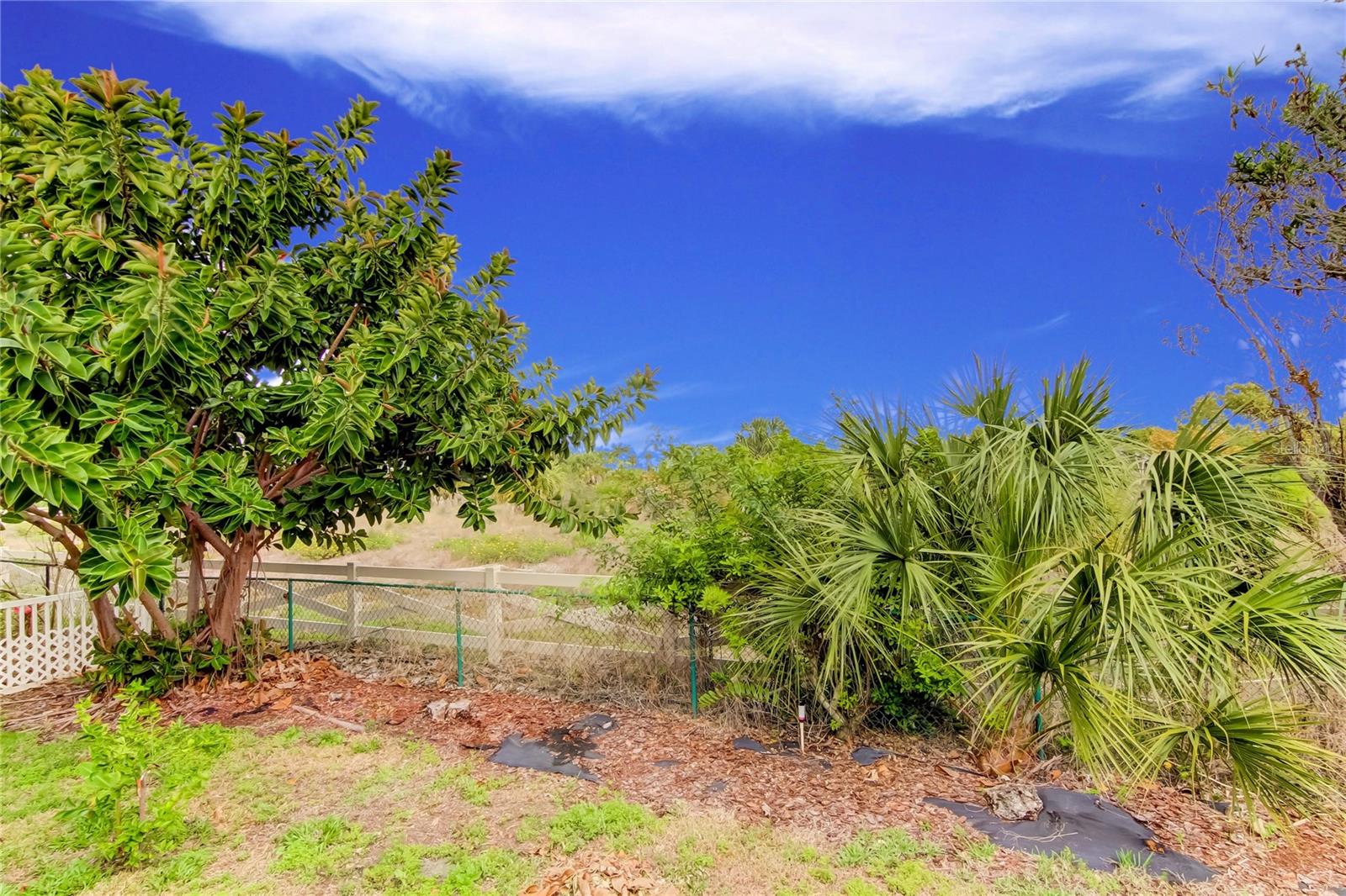 BEACH CLUB ESTATES - Residential Lease