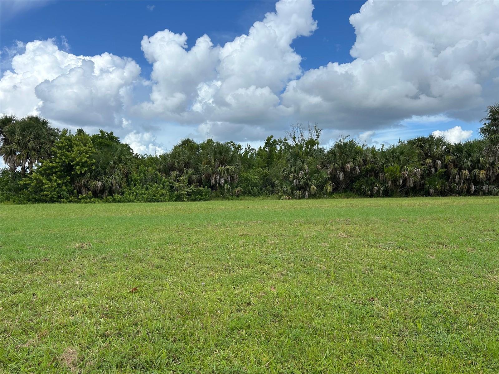 PUNTA GORDA ISLES SEC 21 - Land