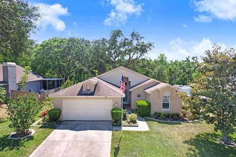 10509 DEEPBROOK DRIVE RIVERVIEW FL 33569
