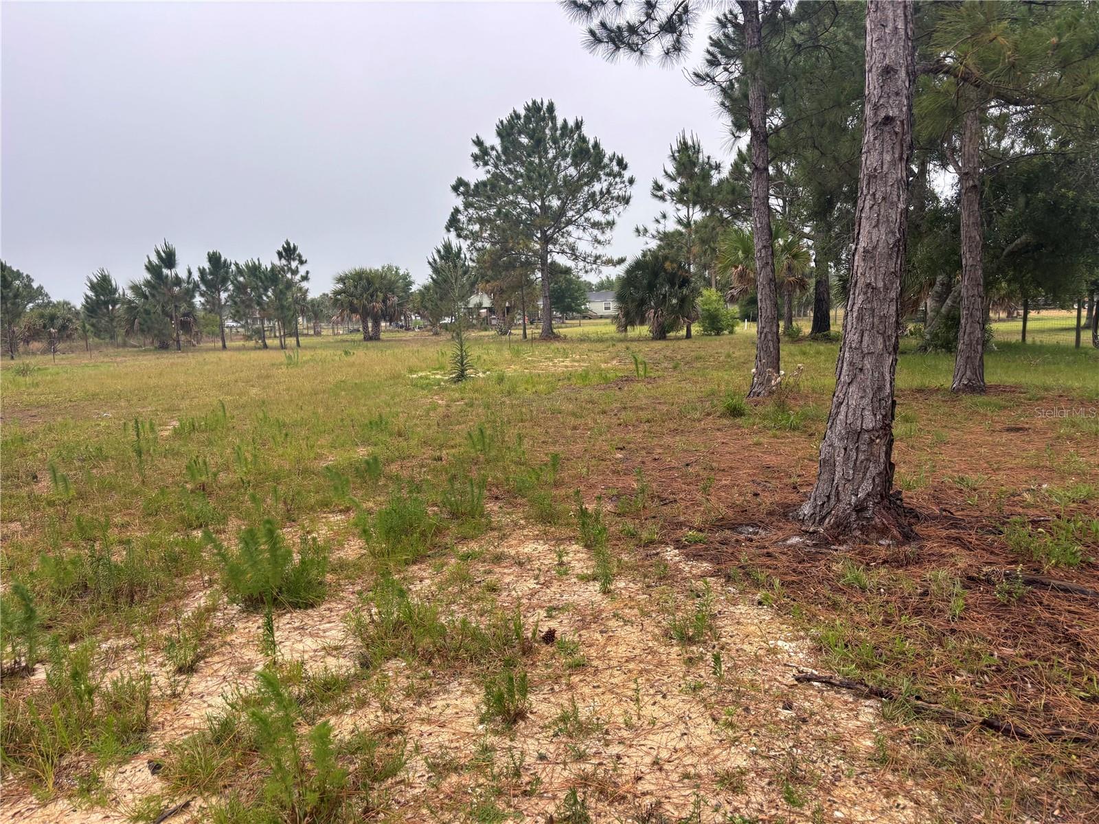 SOUTHERN COLONIZATION CO - Land