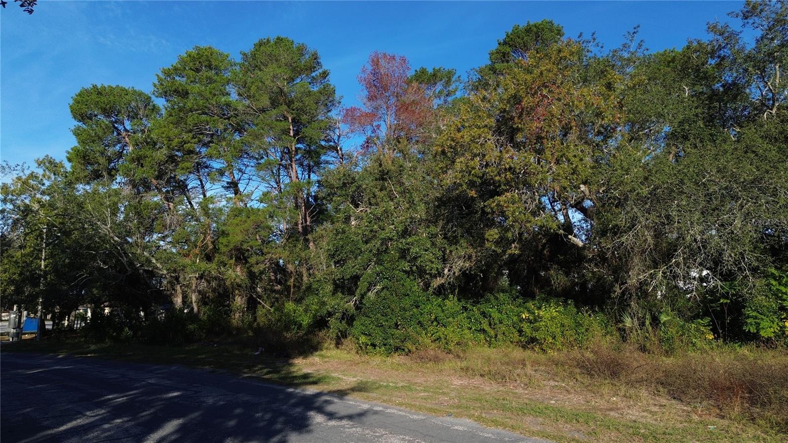 BERKELEY MANOR PH I - Land