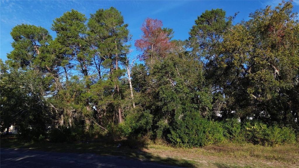 Photo of 7939 Rhanbuoy Road, Spring Hill, FL 34606 (MLS # TB8444653)