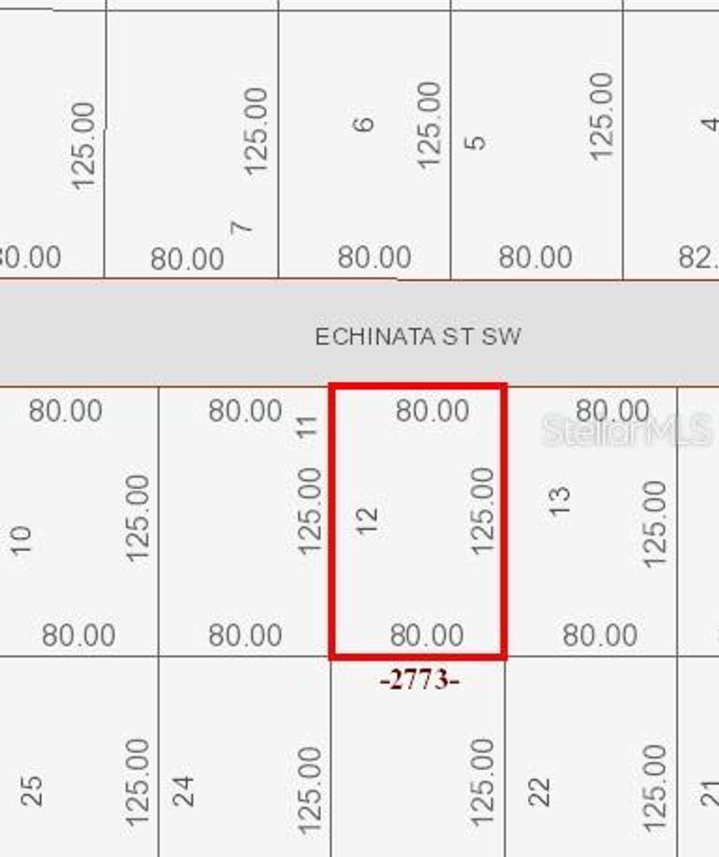 Photo of 1032 Echinata Street SW, Palm Bay, FL 32908 (MLS # NS1086645)