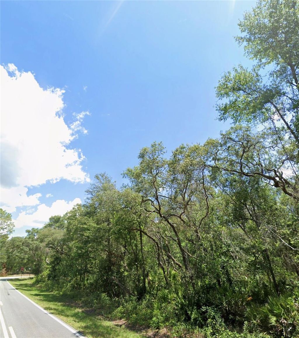 Photo of 34406 Rim Rock Street, Webster, FL 33597 (MLS # G5107245)