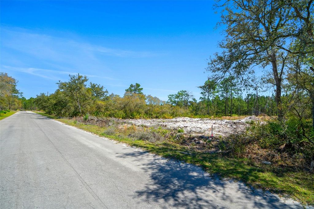 Photo of Ocklawaha, FL 32179 (MLS # G5094784)