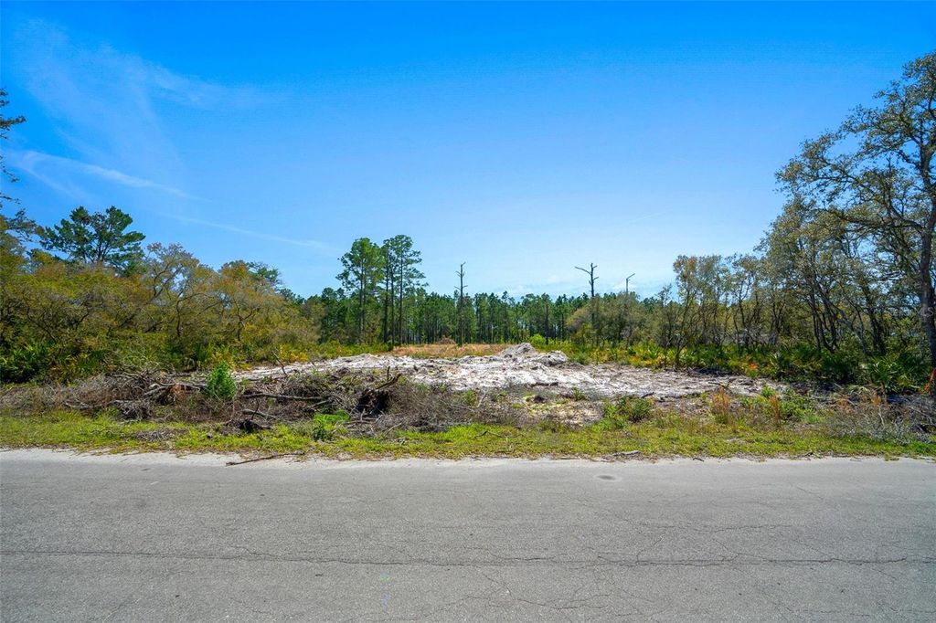 Photo of Ocklawaha, FL 32179 (MLS # G5094784)