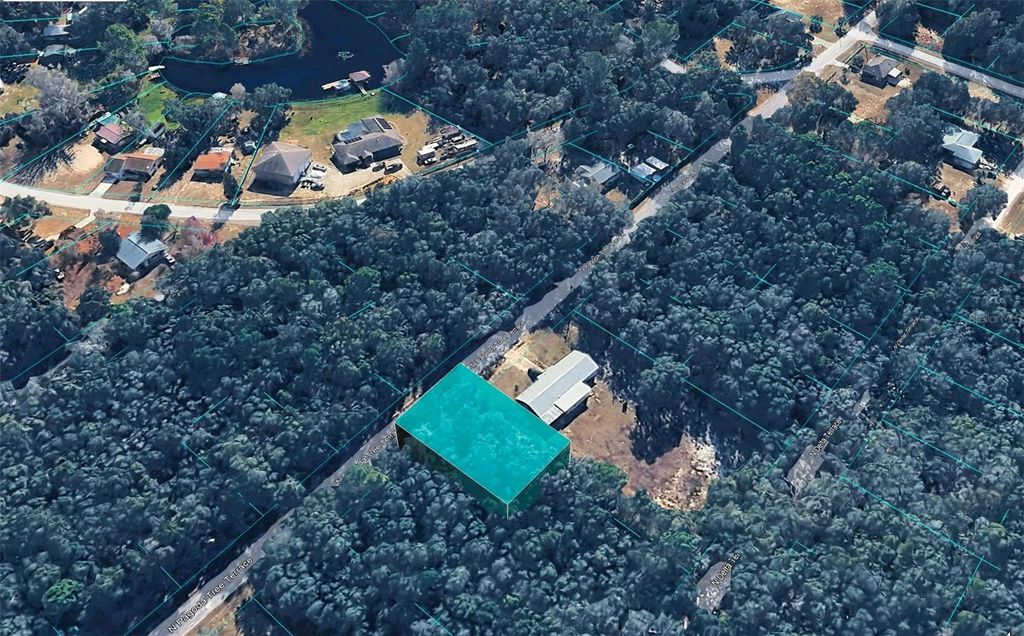 Photo of 6600 N Pagoda Tree Terrace, Hernando, FL 34442 (MLS # TB8471477)