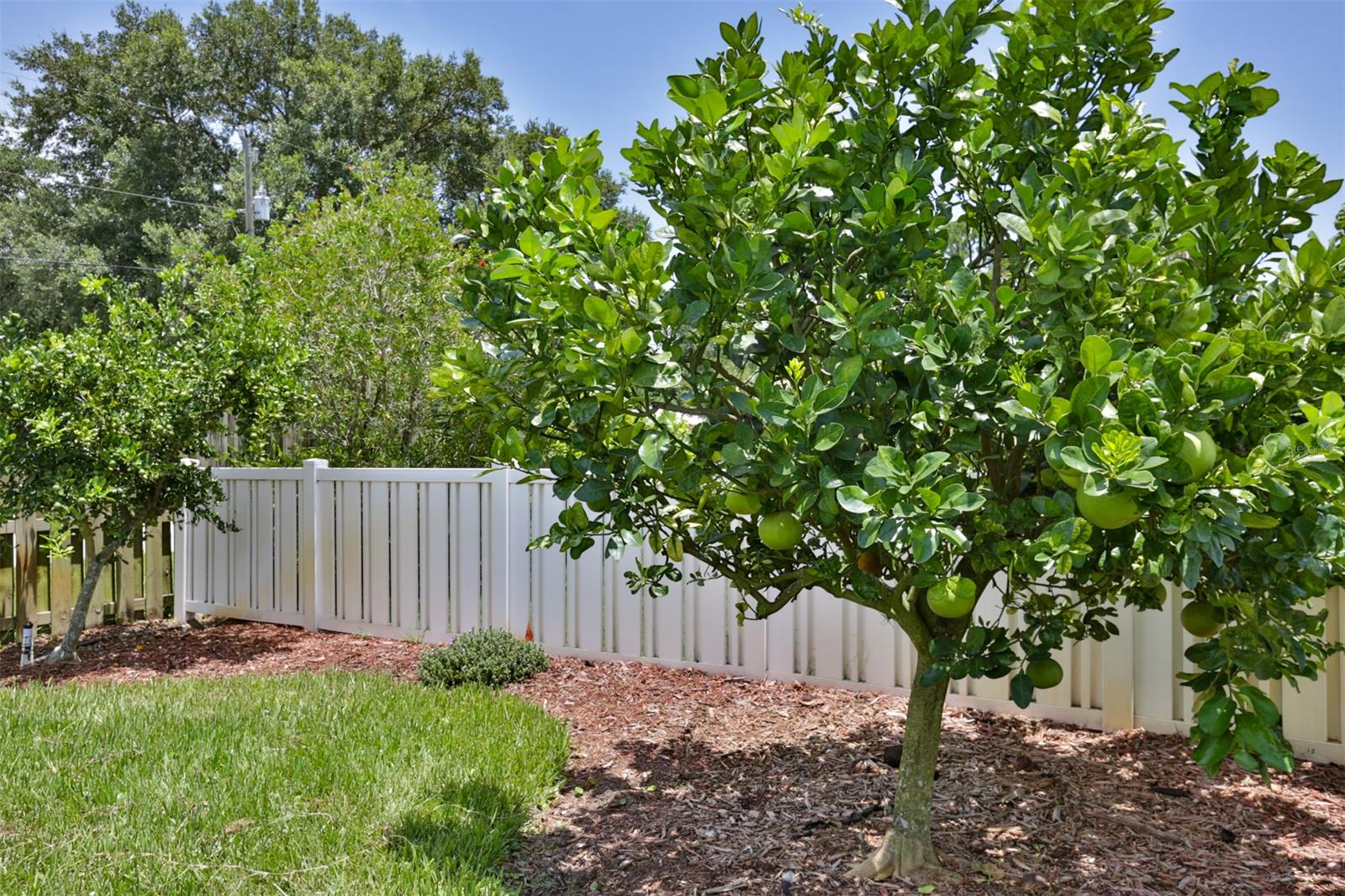 Meadow Lake - Residential