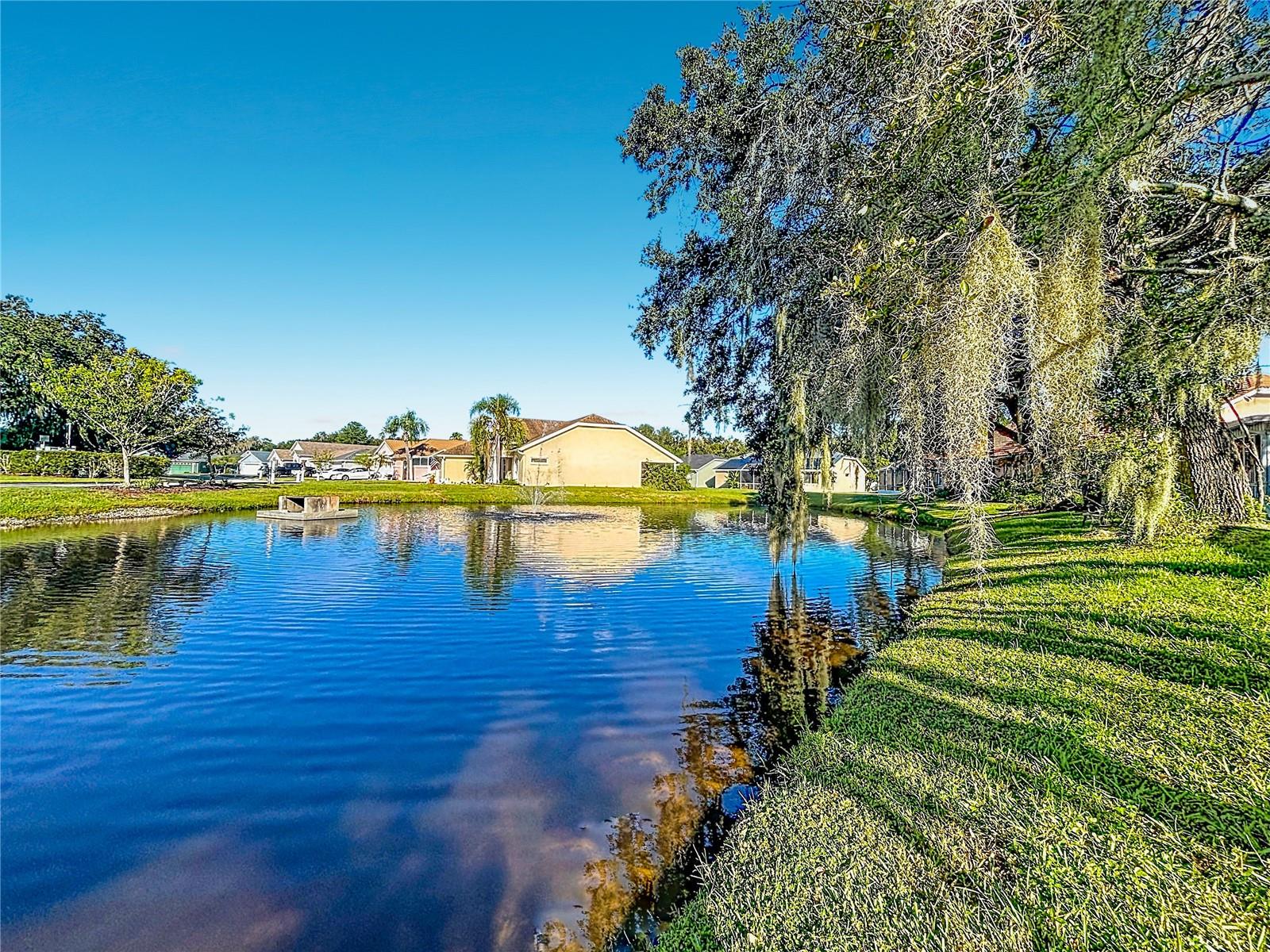 4336 WINDING OAKS CIRCLE