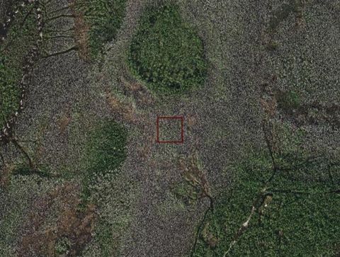 HOLOPAW GROVES ROAD ST CLOUD FL 34773