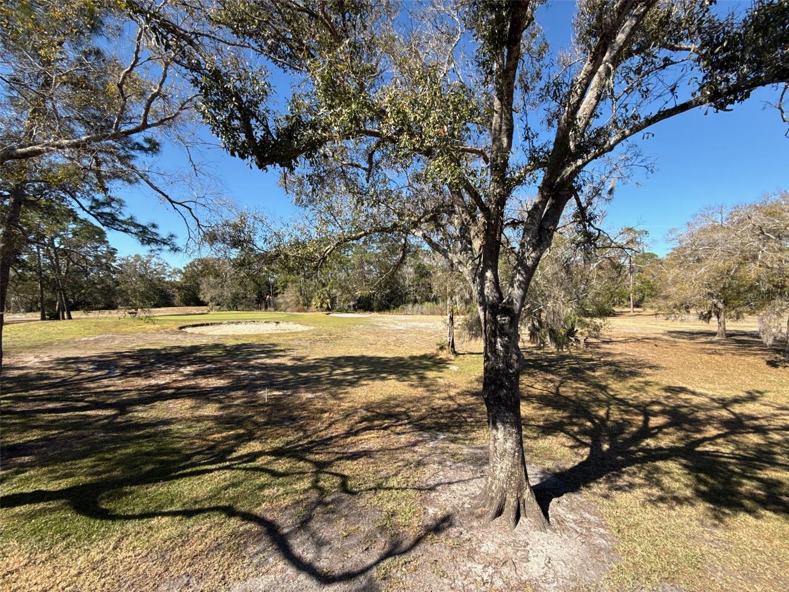 TARPON WOODS CONDO - Residential