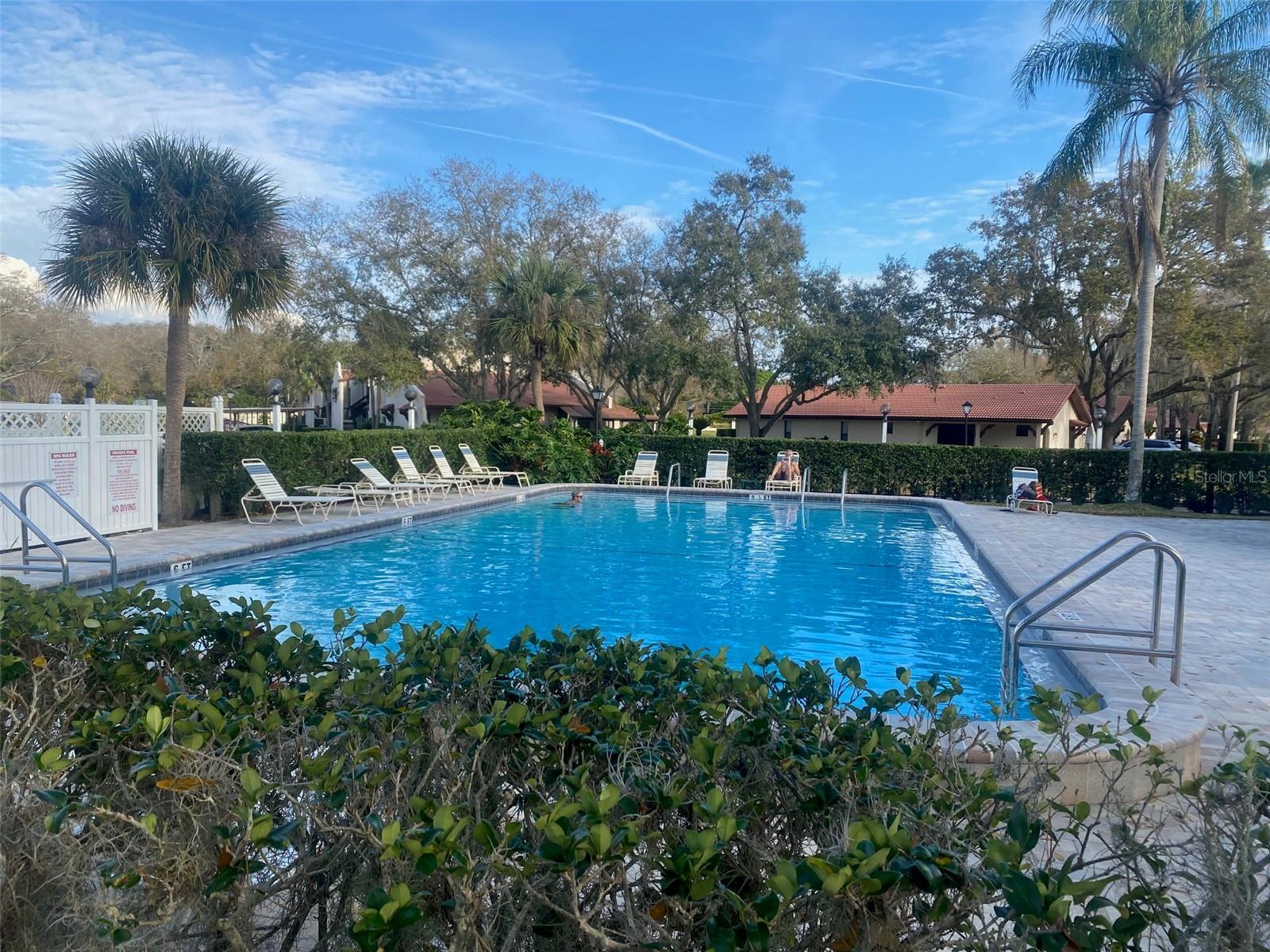 TARPON WOODS CONDO - Residential