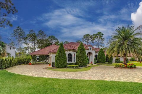 A home in MONTVERDE