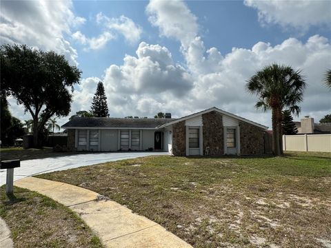 A home in PORT RICHEY