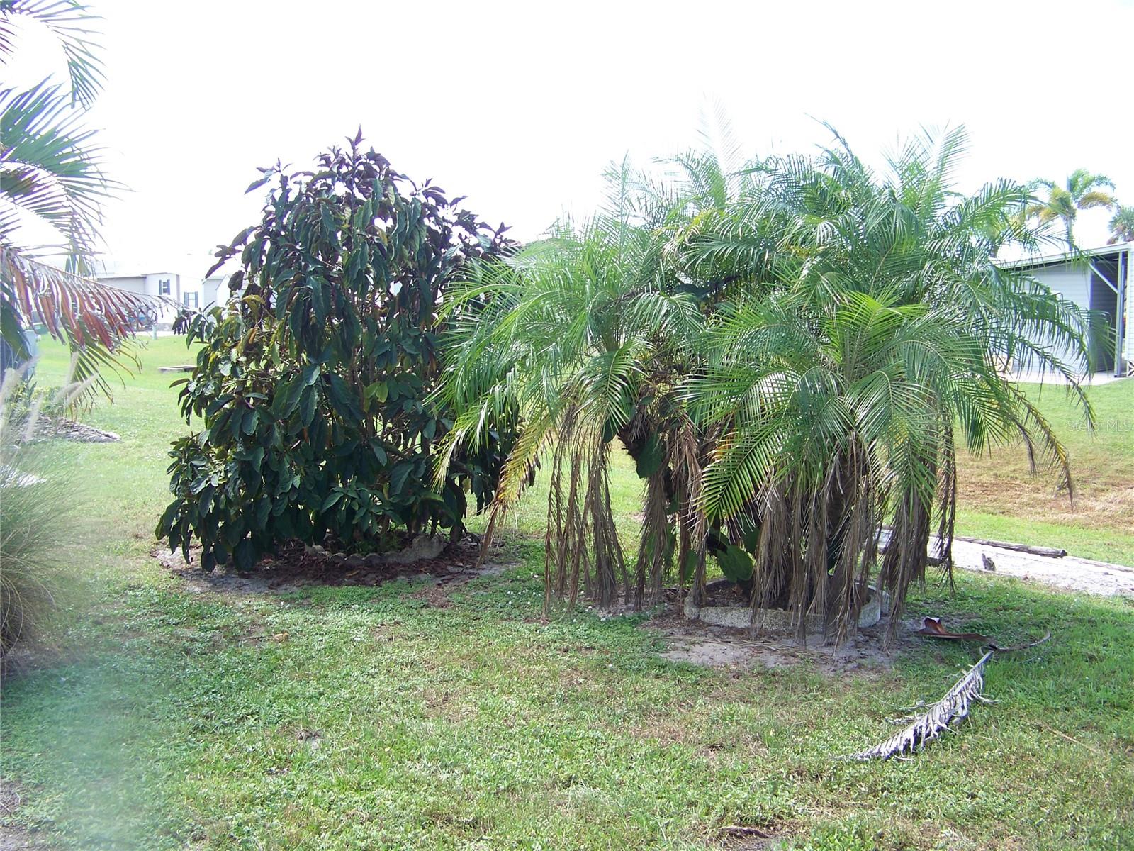 BURNT STORE COLONY MHP COOP - Residential